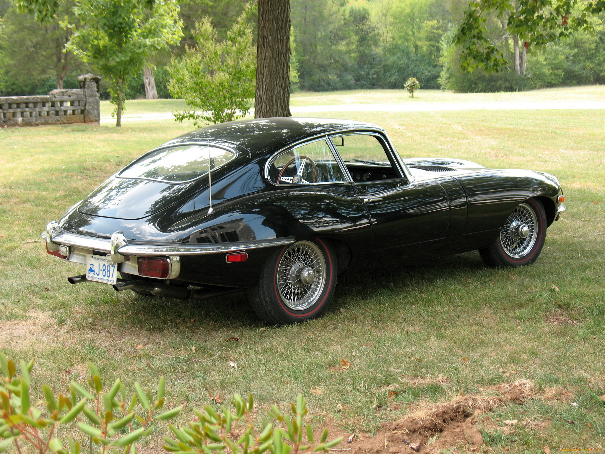 , jaguar